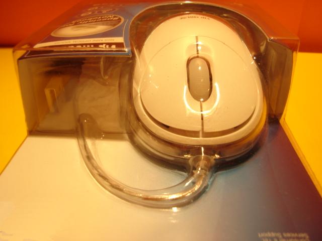 souris
